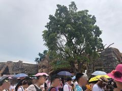 -美的鹭湖探索王国