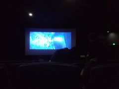 -华美影城(马栏广场店)