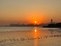 -深圳湾公园(南山区)
