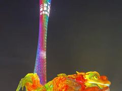 -海心沙亚运公园
