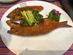 -香巴拉云南餐厅(华莱坞店)