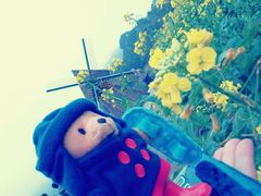 android_upload_pic-广州市石门国家森林公园