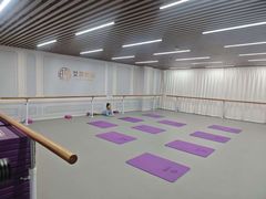 -艾莎舞蹈(中南大厦校区)