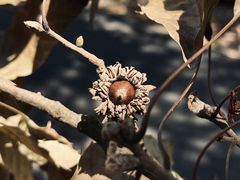 -南宁良凤江国家森林公园