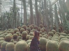 -南山植物园