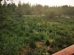 -汉长安城未央宫国家考古遗址公园