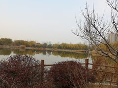 -燕郊植物园