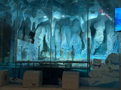 -帝企鹅自助餐厅•儿童岛•真企鹅(长隆企鹅酒店)