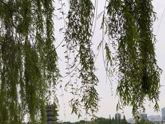 -济南大明湖景区