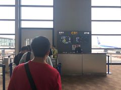 -上海浦东国际机场-T2航站楼