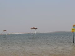 -碧海金沙