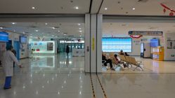 -北京京都儿童医院