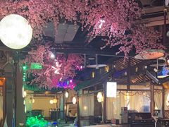 -韵秋荷(宝山龙湖天街店)