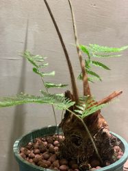 点击看大图 -Y+U遇瑜伽·普拉提