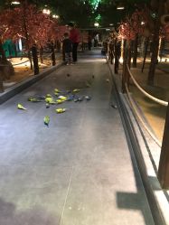 -酷嗒动物文化乐园(cutezoo西溪乐天城店)