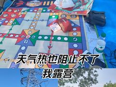 -大港湿地公园