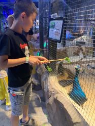 -酷嗒动物文化乐园(cutezoo西溪乐天城店)