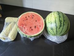 -南汇水蜜桃采摘(大团店)