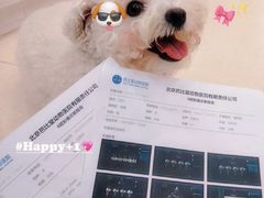 -芭比堂动物医院·CT·微创中心(新顺分院)