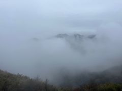 -江南天池