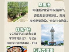 -日照海滨国家森林公园