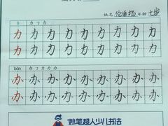 -缤纷鸟美术书法(建大校区)