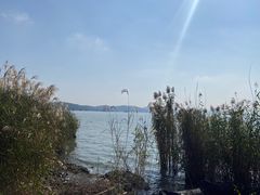 -上海市保健医疗中心