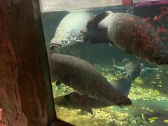 -嘉兴海底世界