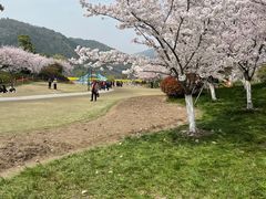 -径山花海