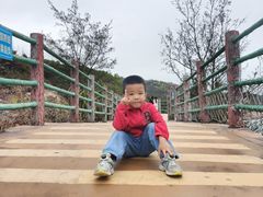 -广东惠东海龟国家级自然保护区