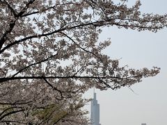 -南京城墙景区
