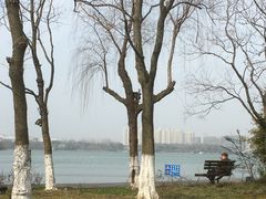 -暨阳湖生态园