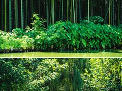 -同里国家湿地公园