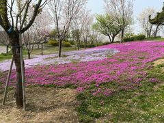 -南通洲际绿博园