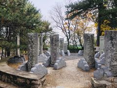 -北京鹫峰国家森林公园