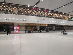 -TheRink大零溜冰场(IFS国金中心店)