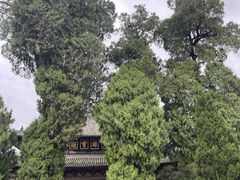 -报恩寺(平武县)