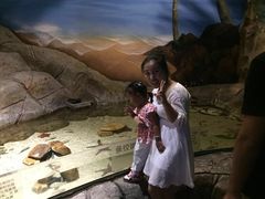 -芜湖新华联大白鲸海洋公园