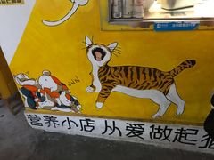 -猫咪博物馆(顶澳仔猫街店)