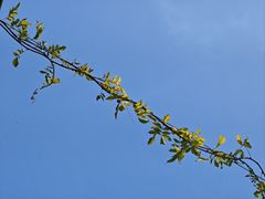 -老门东历史文化街区