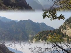 -秦岭风景区