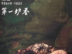 -深影国际影城(学院南路店CGS中国巨幕店)