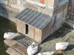 -苏州文庙(姑苏区)