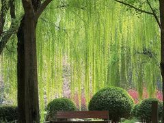 -唐城墙遗址公园