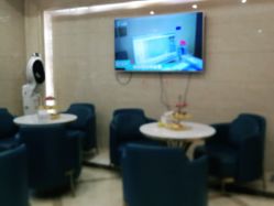 -碧莲盛·不剃发植发