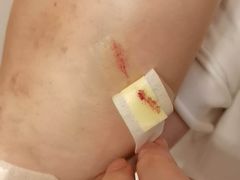 -大锅强·蒸海鲜青岛菜(吾悦广场店)