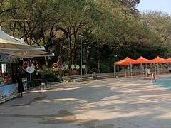 -杭州少年儿童公园