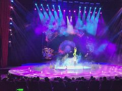 -水秀国际大剧院