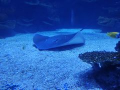 -欢乐海岸海洋奇梦馆