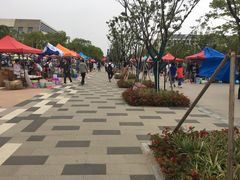 -上海海事大学(临港校区)